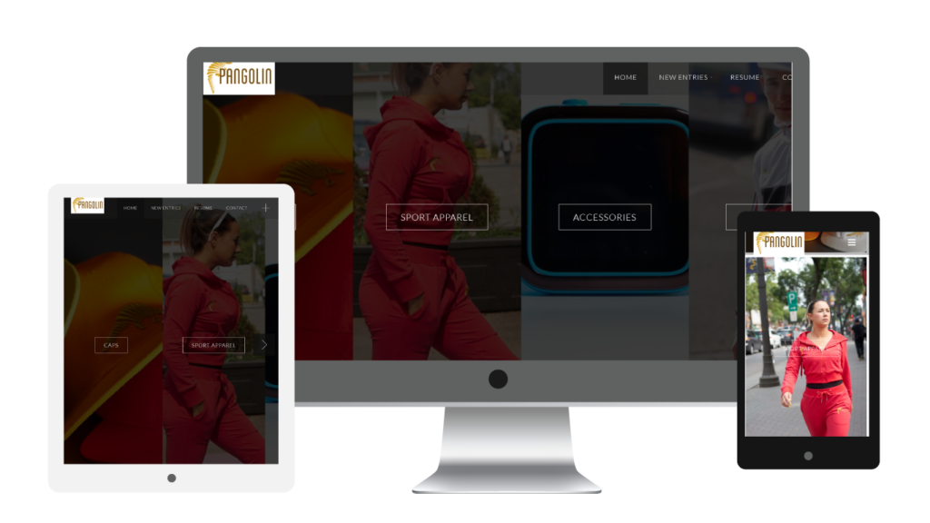 Sportswear Website 1 pangolinsportswear-responsive-website