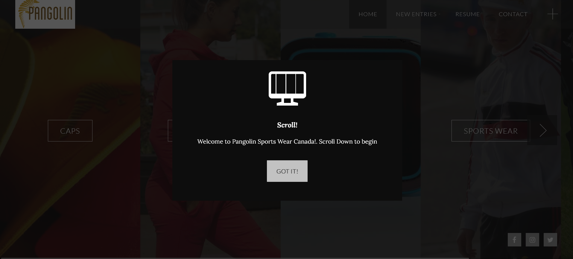 pangolin sportswear website